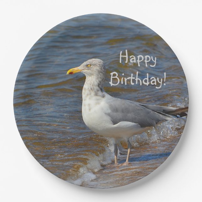 Assiettes En Carton Regarder la mouette fixement (Devant)