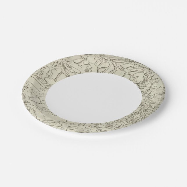Assiettes En Carton Reims (Angle)