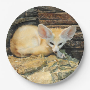Assiettes En Carton Renard mignon de fennec