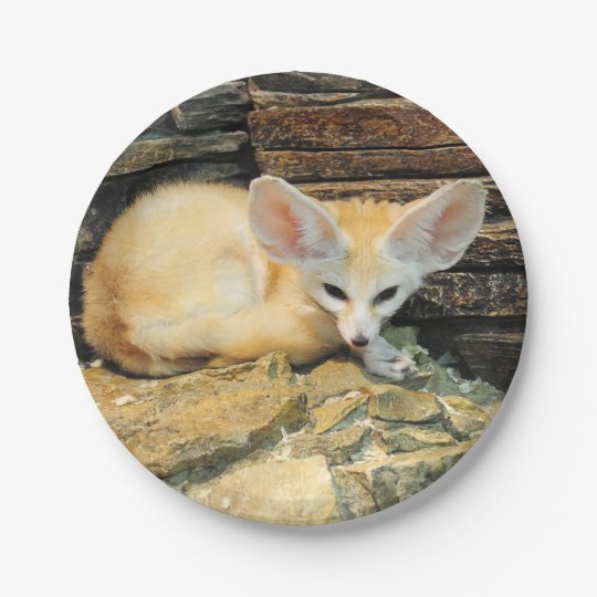 Assiettes En Carton Renard Mignon De Fennec Zazzle Fr