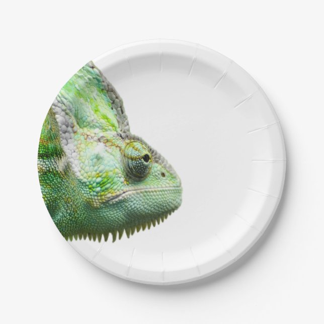 Assiettes En Carton Reptile exotique (Devant)
