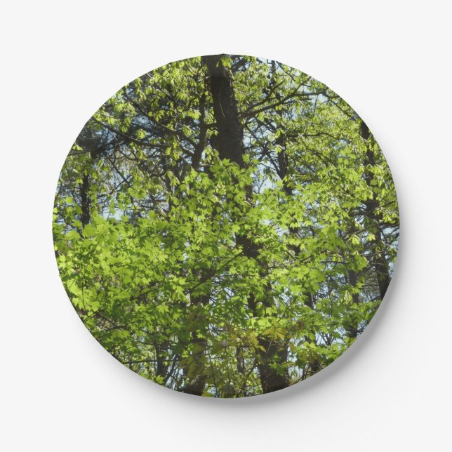 Assiettes En Carton Ressource Feuille (Devant)