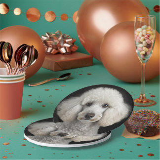 Assiettes En Carton Rocky