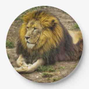 Assiettes En Carton Roi de la plaque à papier de zoo