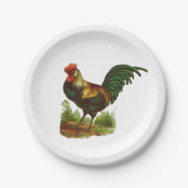 Assiettes En Carton Rooster (Devant)