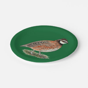 Assiettes En Carton Rooster Bobwhite Quail