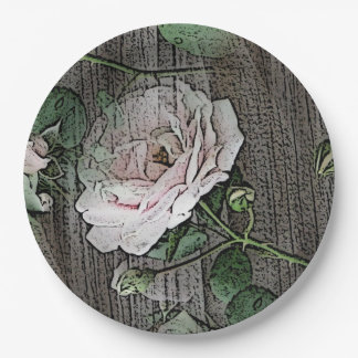 Assiettes En Carton Rose