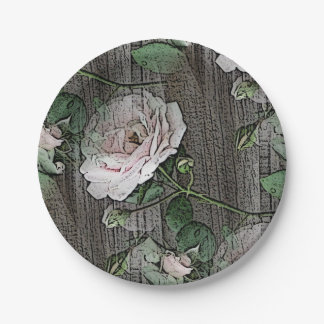 Assiettes En Carton Rose