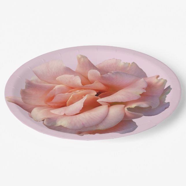 Assiettes En Carton rose (Angle)