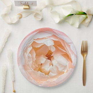 Assiettes En Carton Rose blanche avec rougeur rose
