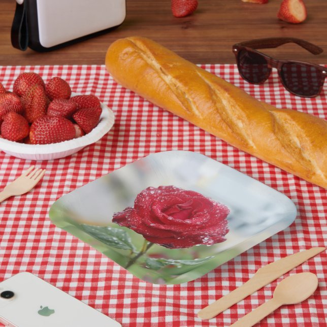 Assiettes En Carton Rose en gouttes de pluie (Pique-nique)