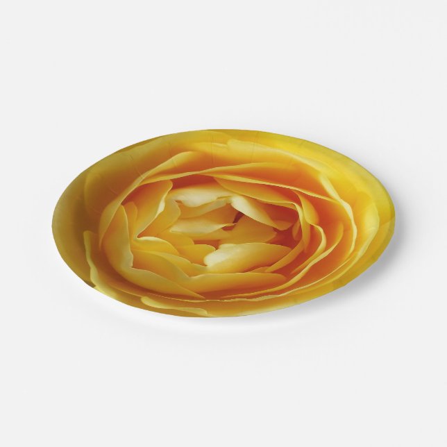 Assiettes En Carton rose et rosebud (Angle)