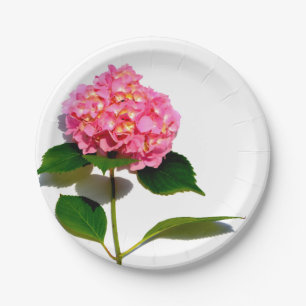 Assiettes En Carton Rose Hydrangea fleurs roses rose roses roses