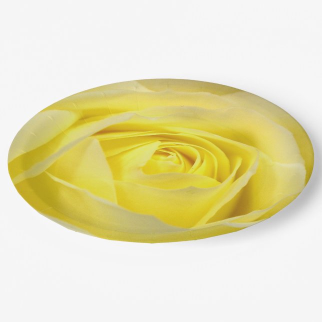 Assiettes En Carton Rose jaune (Angle)