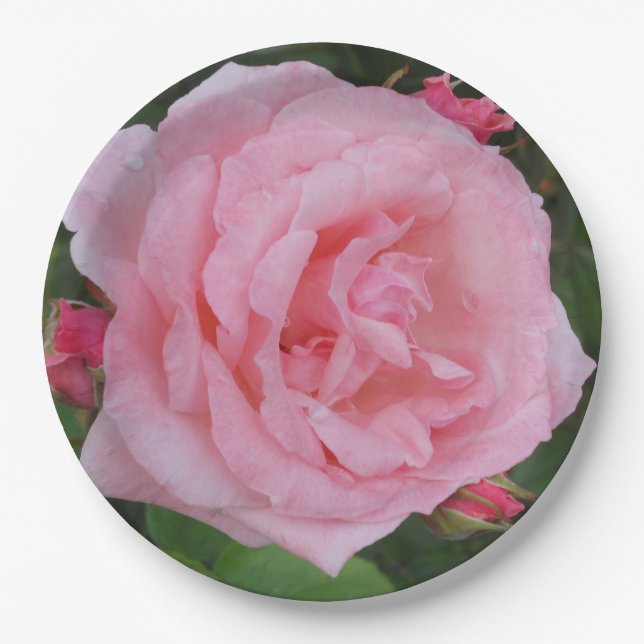 Assiettes En Carton Rose rose classique (Devant)