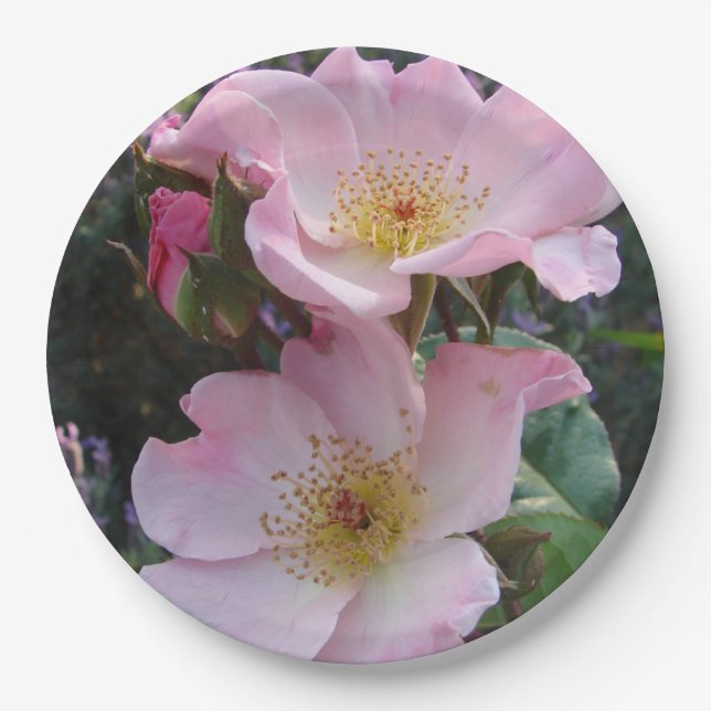 Assiettes En Carton Rose rose Fleur Motif  papier plaque (Devant)