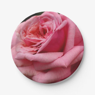 Assiettes En Carton Rose rose I Photographie florale jolie