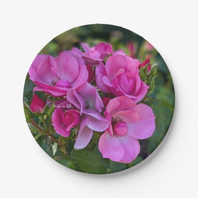 Assiettes En Carton Rose rose lavande (Devant)