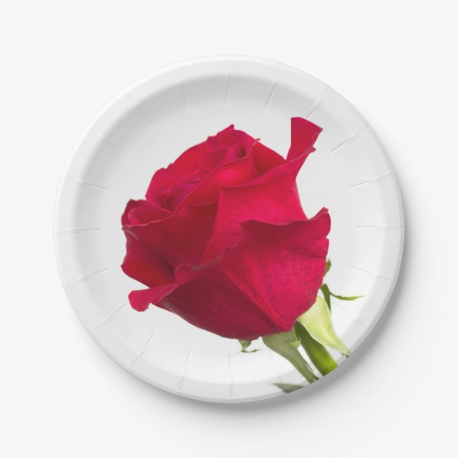 Assiettes En Carton Rose rouge (Devant)