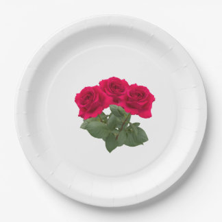 Assiettes En Carton Roses rouges
