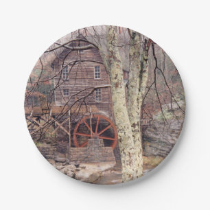 Assiettes En Carton Roue