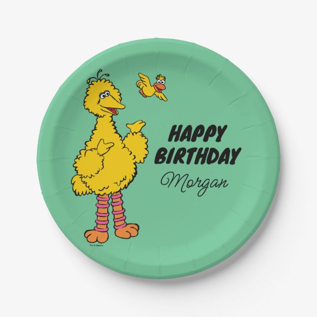 Assiettes En Carton Rue Sésame | Big Bird & Little Bird Anniversaire (Devant)