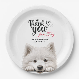 Assiettes En Carton Samoyed