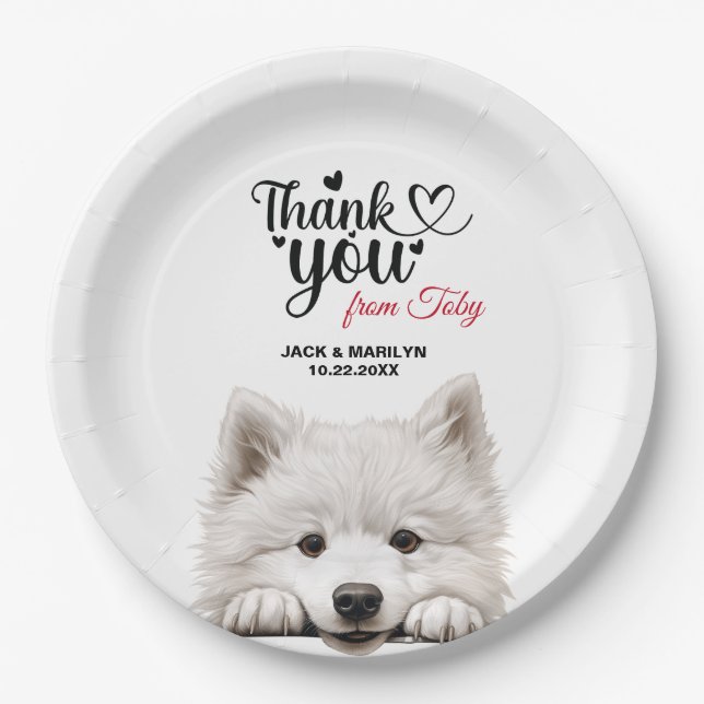 Assiettes En Carton Samoyed (Devant)