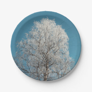 Assiettes En Carton Saule blanc contre ciel bleu sans nuages