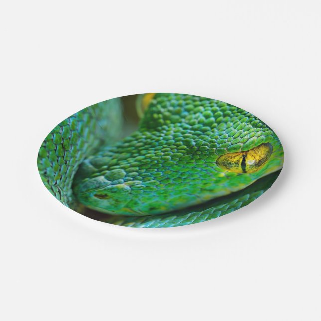 Assiettes En Carton Scène d'arbre (Angle)