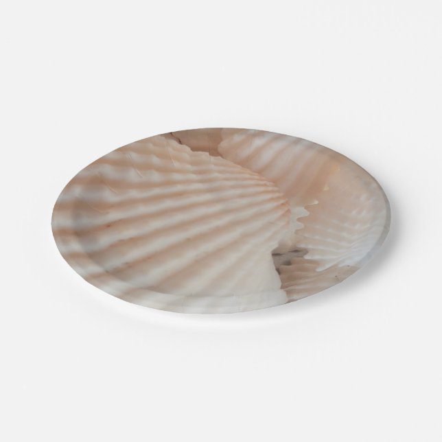 Assiettes En Carton Sea Shells Love, Summer Beach Pique-nique, Plaque  (Angle)