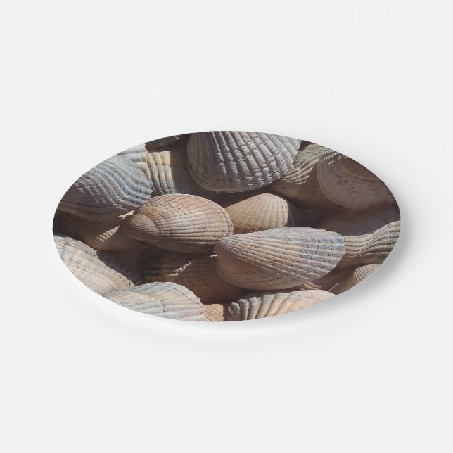 Assiettes En Carton Sea Shells Love, Summer Beach Pique-nique, Plaque  (Angle)