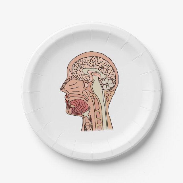 Assiettes En Carton Section de la Croix du Cerveau Midsagittal (Devant)