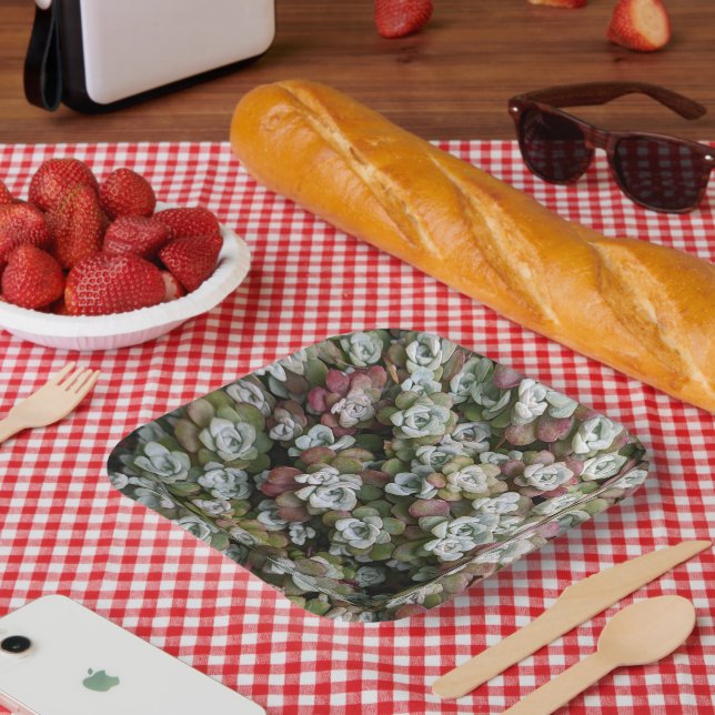 Assiettes En Carton Sedum Spathulifolium Succulents Floral (Pique-nique)