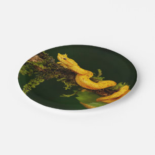 Assiettes En Carton Serpent Viper Poison du Costa Rica