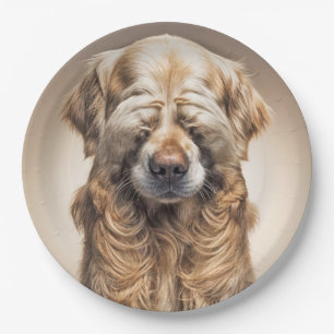 Assiettes En Carton Shy Golden Retriever