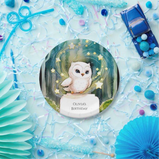 Assiettes En Carton Simple Into the Woods Owl Birthday (Fête)