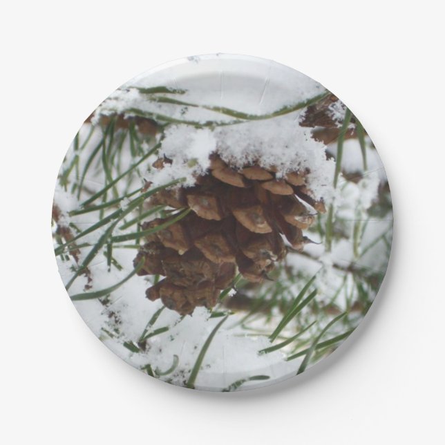 Assiettes En Carton Snowy Pine Cone I (Devant)