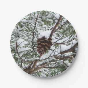 Assiettes En Carton Snowy Pine Cône II hiver Photographie de la nature