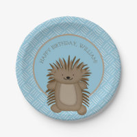 Soirée Anniversaire de enfant de Porcupine