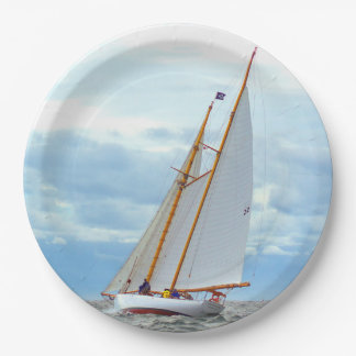 Assiettes En Carton Sortant Sur Le Brillant