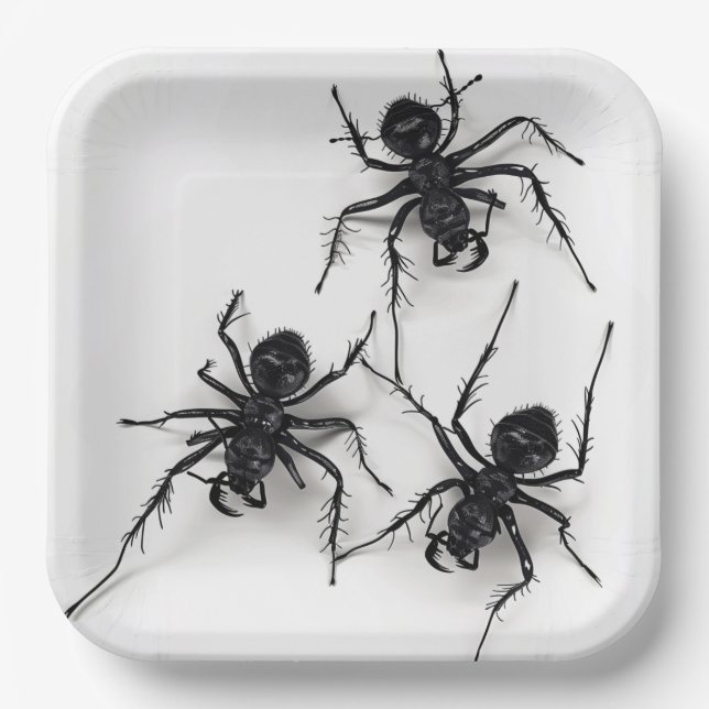 Assiettes en carton Spider Série 4-9 (Recto)