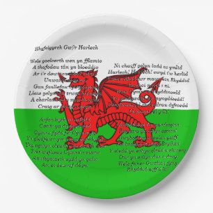 Assiettes En Carton St Davids Jour Noël Hommes de Harlech 9"