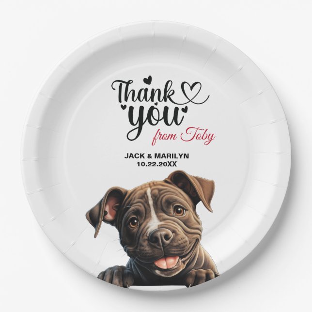 Assiettes En Carton Staffordshire Bull Terrier (Devant)