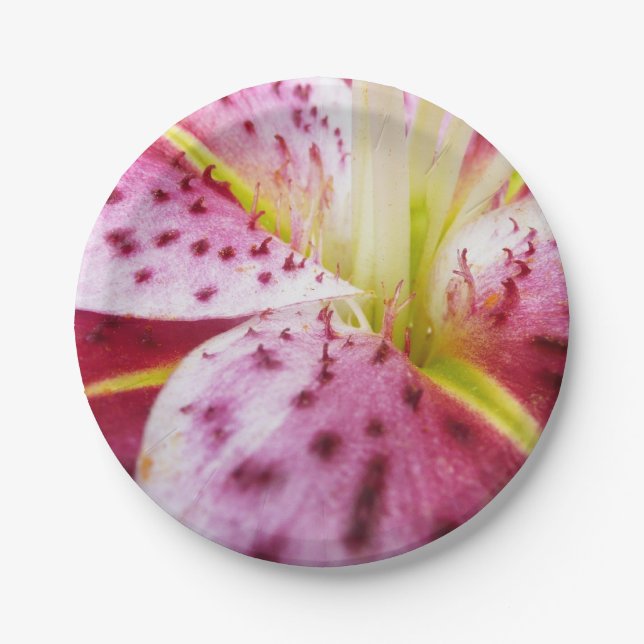 Assiettes En Carton Stargazer Lily brillant Magenta Floral (Devant)