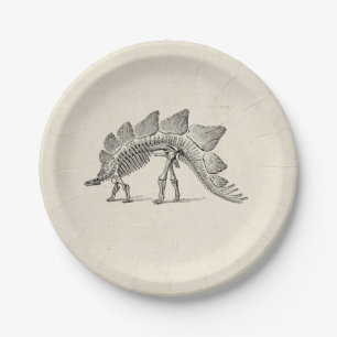 Assiettes En Carton Stegosaurus Dinosaure Squelette Fossile