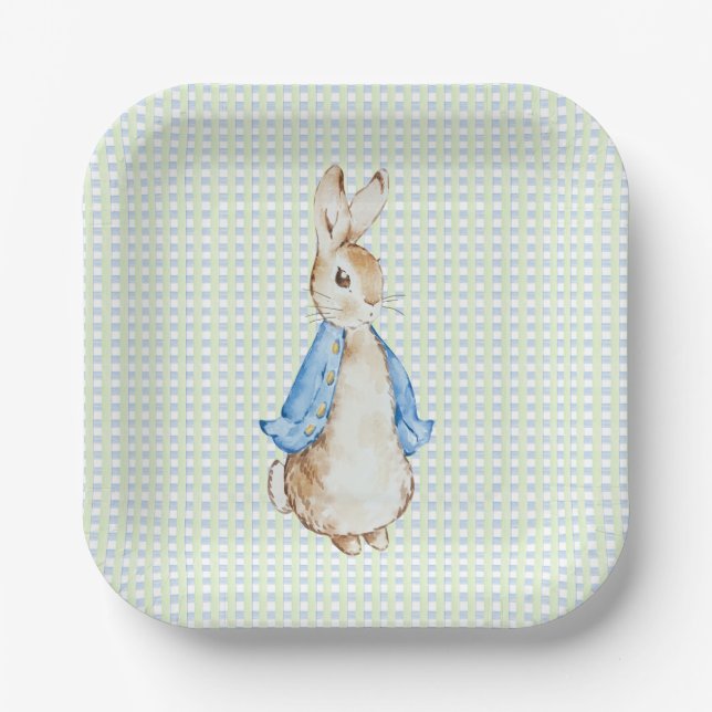 Assiettes En Carton Storybook Garden Rabbit Inspired Baby Shower  (Recto)