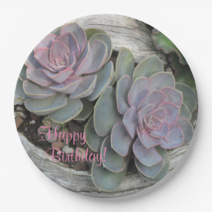 Assiettes En Carton Succulent d'anniversaire heureux