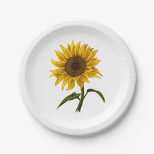 Assiettes En Carton Sunflower Sunshine Floral Aquarelle Fleur