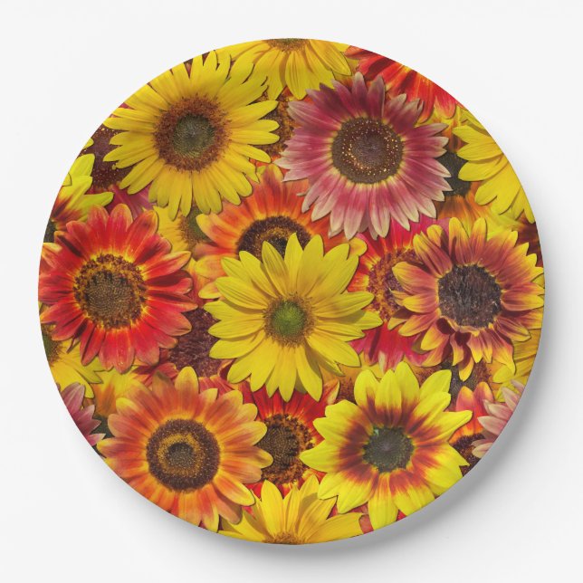 Assiettes En Carton Sunflowers Motif sans couture (Devant)